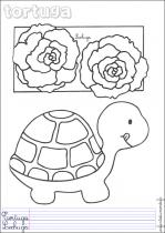 coloriage-tortue-1
